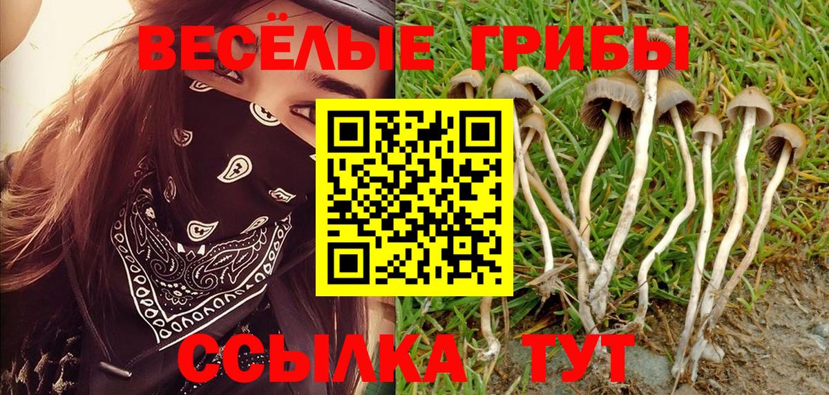 Псилоцибиновые грибы Magic Shrooms  наркошоп  Лесозаводск  Вход с VPN 